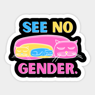 See No Gender - Pan Flag Sticker